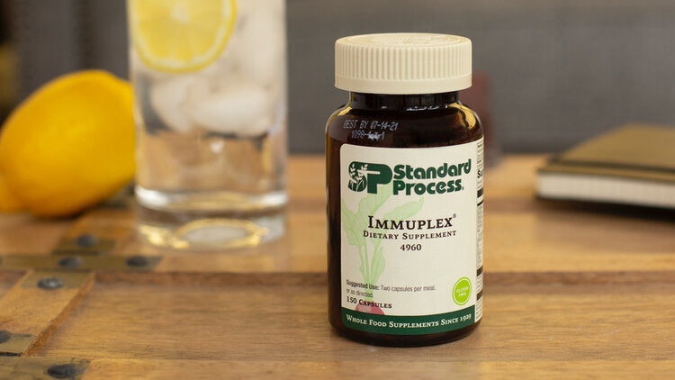 Immune Support Recommendations