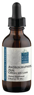 Chuan Xin Lian, Andrographis Pan.