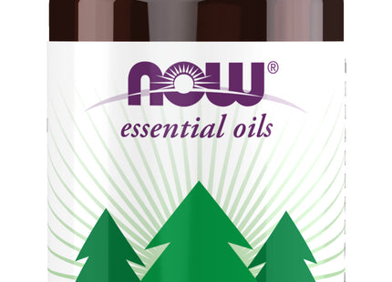 Woodland Walk Oil Blend